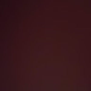 Meet your Posher, Shawn